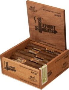 Buy Nat Cicco Baby Elephant Ears Juniors Online: 