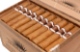 Buy United La Mezcla Cubana Rothschild Online: