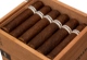 Buy RoMa Craft Intemperance BA XXI War Online: 