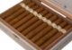 Buy Lost & Found 22 Minutes to Midnight CT Robusto Online: 
