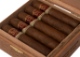 Buy Padron Family Reserve No. 95 Natural Online: 