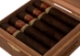 Buy Padron Family Reserve No. 95 Maduro Online: 