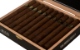 Buy Lost & Found Instant Classic San Andres Toro Fino Online: 