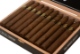 Buy Lost & Found Instant Classic San Andres Torpedo Online: 