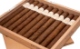 Buy Lost & Found Antique Line 2010 Corona Extra Online: 