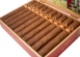 Buy Aladino Classic Gordo Online: 