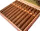 Buy Aladino Classic Toro Online: 
