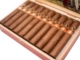 Buy Aladino Classic Robusto Online: 