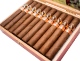 Buy Aladino Classic Corona Online: 