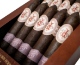 Buy Diesel Fool's Errand Stubborn Fool Online: