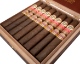 Buy Aganorsa Leaf La Validacion Maduro Toro Online: 