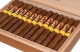 Buy Caldwell Anastasia 2022 Caspia Online: