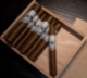 Buy Viaje The Rise Of Claudenstein