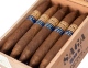 Buy Saga Blend No. 7 Perfecto Online: