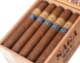 Buy Saga Blend No. 7 Robusto Online: