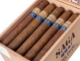 Buy Saga Blend No. 7 Toro Gordo Online: