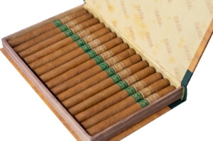 Buy Saga Short Tales Tomo V Online: