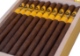Buy El Septimo The Sacred Arts Collection Leonardo Da Vinci Lancero Online: