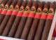 Buy El Septimo The Sacred Arts Collection Rembrandt Torpedo Online: