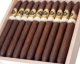 Buy El Septimo The Sacred Arts Collection Van Gogh Royal Salomon Online: