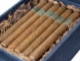 Buy Kristoff Shade Grown Churchill  Online: 