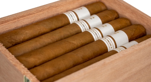 Buy Patoro Terre Blanche Gordo Online: