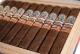 Buy Ozgener Bosphorus B52 Online at Small Batch Cigar