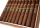 Buy ATL Black Torpedo: ATL's rendition of a the combination of ‘fuerte’ and ‘suave’ which we felt is more unique in our Maduro.