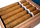 Buy Nestor Miranda Special Selection CT Toro Online: