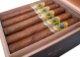 Buy Falto Mentor Online: