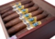 Buy Falto Yagüez Arawaco Online: