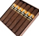 Buy Olmec Claro Robusto by Foundation Cigars Online: Foundation Cigar Co. has released a brand new line called Olmec that the company describes as a tribute to Mexico and its ancient Mesoamerican people, which inhabited the San Andrés Valley in Veracruz, where cigar tobacco is grown