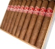 Buy Aladino Cameroon Gordo Online at Small Batch Cigar:  this special blend from JRE features Cameroon tobacco grown in Honduras on the family farms!