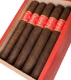 Buy Matilde Limited Exposure No.1 Toro Online: