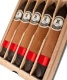 Buy Black Moses Maduro by Howard G Cigars Online: