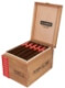 Buy Allegria Gordo online at Small Batch Cigar