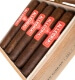 Buy Allegria Robusto online at Small Batch Cigar
