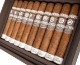 Buy Plasencia Alma del Campo Guajiro Cigars Online:
