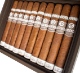 Buy Plasencia Alma del Campo Travesia Cigars Online: