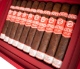 Buy Plasencia Alma del Fuego Candente Cigars Online: