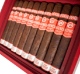 Buy Plasencia Alma del Fuego Concepción Cigars Online:
