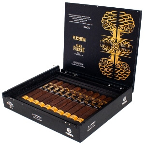 Buy Plasencia Alma Fuerte Robustus Cigars Online: