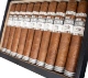 Buy Plasencia Cosecha 146 San Luis Toro Cigars Online: