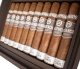 Buy Plasencia Alma del Campo Tribu Cigars Online: