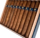 Buy Lost & Found 22 Minutes to Midnight Criollo Clasico Toro Online: 