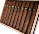 Buy Lost & Found 22 Minutes to Midnight Maduro San Andrés Robusto Online: 