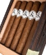 Buy Adventura The Conqueror Almirante Online