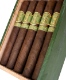 Matilde Oscura Toro Bravo
