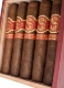 Matilde Renacer Robusto