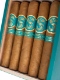Matilde Serena Robusto